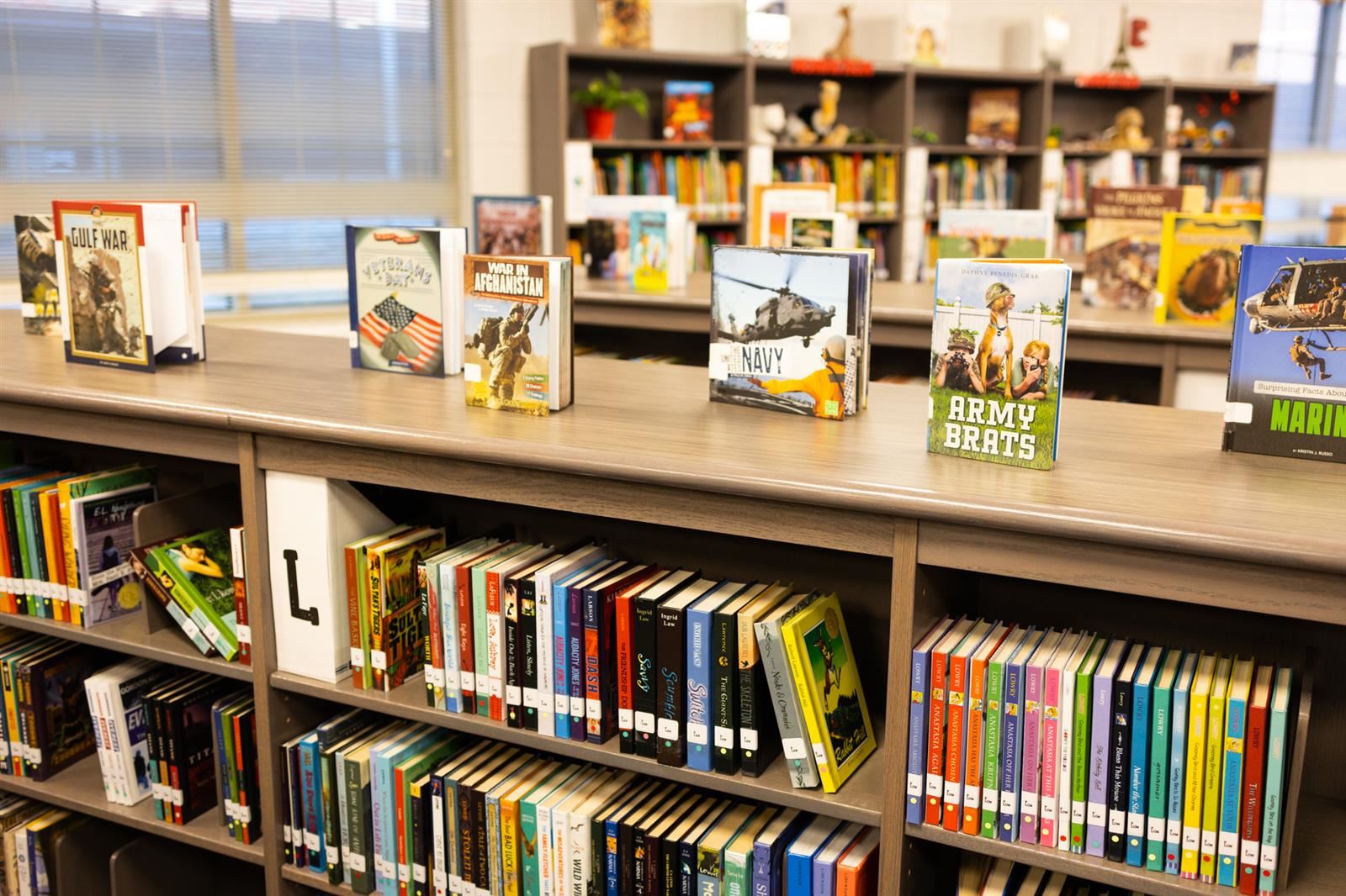 Books inside a library